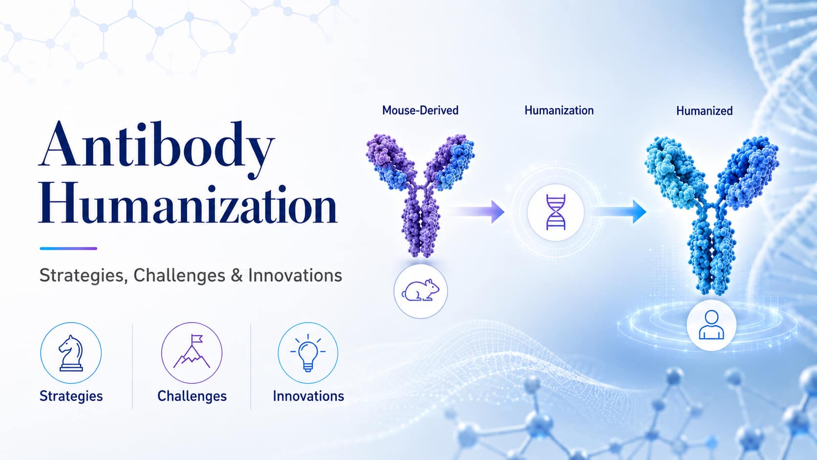 Antibody Humanization Strategies and Innovations