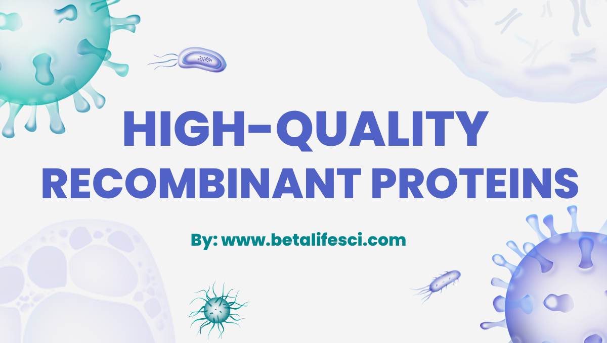 Recombinant Proteins | Beta LifeScience Recombinant Proteins | Beta LifeScience