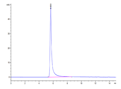 The purity of Mouse GPRC5D VLP is greater than 95% as determined by SEC-HPLC.