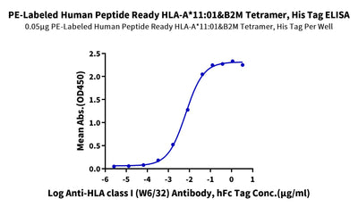 Immobilized PE-Labeled Human Peptide Ready HLA-A*11:01&B2M Tetramer, His Tag at 0.5ug/ml (100ul/well) on the plate. Dose response curve for Anti-HLA class I (W6/32) Antibody, hFc Tag with the EC50 of 6.6ng/ml determined by ELISA.