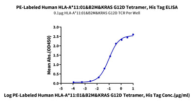 Immobilized HLA-A*11:01&B2M&KRAS G12D (VVVGADGVGK) TCR at 1ug/ml (100ul/well) on the plate. Dose response curve for PE-Labeled Human HLA-A*11:01&B2M&KRAS G12D (VVVGADGVGK) Tetramer, His Tag with the EC50 of 96.7ng/ml determined by ELISA.