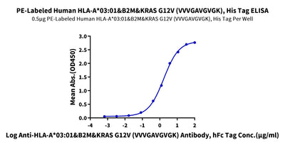 Immobilized PE-Labeled Human HLA-A*03:01&B2M&KRAS G12V (VVVGAVGVGK) Tetramer, His Tag at 5ug/ml (100ul/well) on the plate. Dose response curve for Anti-HLA-A*03:01&B2M&KRAS G12V (VVVGAVGVGK) Antibody, hFc Tag with the EC50 of 1.67ug/ml determined by ELISA.