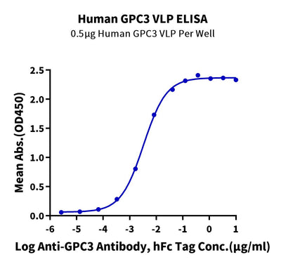 Immobilized Human GPC3 VLP at 5ug/ml (100ul/Well) on the plate. Dose response curve for Anti-GPC3 Antibody, hFc Tag with the EC50 of 3.3ng/ml determined by ELISA.