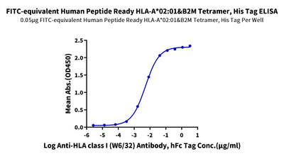 Immobilized FITC-equivalent Human Peptide Ready HLA-A*02:01&B2M Tetramer, His Tag at 0.5ug/ml (100ul/well) on the plate. Dose response curve for Anti-HLA class I (W6/32) Antibody, hFc Tag with the EC50 of 5.1ng/ml determined by ELISA.