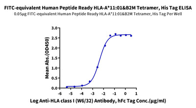 Immobilized FITC-equivalent Human Peptide Ready HLA-A*11:01&B2M Tetramer, His Tag at 0.5ug/ml (100ul/well) on the plate. Dose response curve for Anti-HLA class I (W6/32) Antibody, hFc Tag with the EC50 of 4.2ng/ml determined by ELISA.