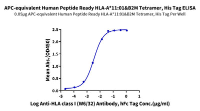 Immobilized APC-equivalent Human Peptide Ready HLA-A*11:01&B2M Tetramer, His Tag at 0.5ug/ml (100ul/well) on the plate. Dose response curve for Anti-HLA class I (W6/32) Antibody, hFc Tag with the EC50 of 3.3ng/ml determined by ELISA.