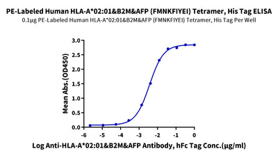 Immobilized PE-Labeled Human HLA-A*02:01&B2M&AFP (FMNKFIYEI) Tetramer, His Tag at 1ug/ml (100ul/well) on the plate. Dose response curve for Anti-HLA-A*02:01&B2M&AFP (FMNKFIYEI) Antibody, hFc Tag with the EC50 of 36.8ng/ml determined by ELISA.