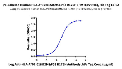 Immobilized PE-Labeled Human HLA-A*02:01&B2M&P53 R175H (HMTEVVRHC) Tetramer, His Tag at 2 ug/ml (100 ul/well) on the plate. Dose response curve for Anti-HLA-A*02:01&B2M&P53 R175H (HMTEVVRHC) Antibody, hFc Tag with the EC50 of 3.4 ng/ml determined by ELISA.