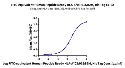 Immobilized Anti-HLA class I (W6/32) Antibody, hFc Tag at 5ug/ml (100ul/well) on the plate. Dose response curve for FITC-equivalent Human Peptide Ready HLA-A*03:01&B2M Tetramer, His Tag with the EC50 of 2.55ug/ml determined by ELISA.