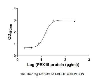 Activity Measured by its binding ability in a functional ELISA. Immobilized ABCD1 at 5 μg/ml can bind human PEX19, the EC 50 of human PEX19 is 22.96-33.00 μg/ml.