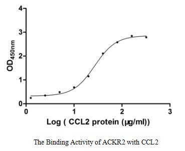 Recombinant Human Atypical Chemokine Receptor 2 (ACKR2) Protein (His), Active