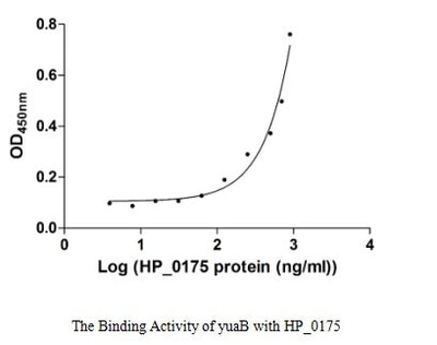 Activity Measured by its binding ability in a functional ELISA. Immobilized yuaB at 5 μg/ml can bind human HP_0175 with a linear range of 31.25-600.00 ng/ml.