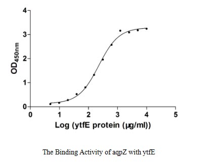 Activity Measured by its binding ability in a functional ELISA. Immobilized aqpZ at 5 μg/ml can bind E.coli ytfE, the EC 50 of E.coli ytfE protein is 197.90-259.70 μg/ml.