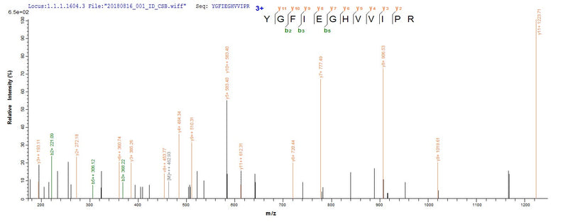 Based on the SEQUEST from database of E.coli host and target protein, the LC-MS/MS Analysis result of this product could indicate that this peptide derived from E.coli-expressed Homo sapiens (Human) CD44.