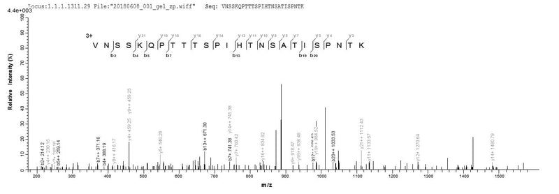 Based on the SEQUEST from database of E.coli host and target protein, the LC-MS/MS Analysis result of this product could indicate that this peptide derived from E.coli-expressed Human respiratory syncytial virus B (strain 18537) G.