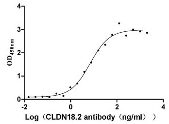 Activity Measured by its binding ability in a functional ELISA. Immobilized human CLDN18.2 ) at 5 μg/ml can bind anti-CLDN18.2 recombinant Monoclonal Antibody , the the EC 50 is 5.225-9.256 ng/ml. Biological Activity Assay
