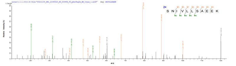 Based on the SEQUEST from database of Mammalian Cell host and target protein, the LC-MS/MS Analysis result of this product could indicate that this peptide derived from Mammalian Cell-expressed Homo sapiens (Human) CD20.