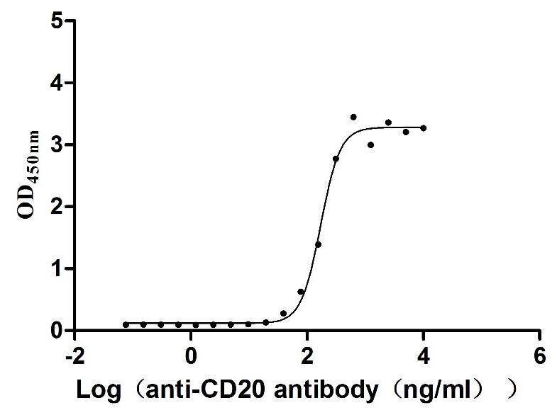 Activity Measured by its binding ability in a functional ELISA. Immobilized Dog CD20 at 10 μg/ml can bind Anti-CD20 recombinant antibody , the EC 50 is 147.3-199.0 ng/mL. Biological Activity Assay