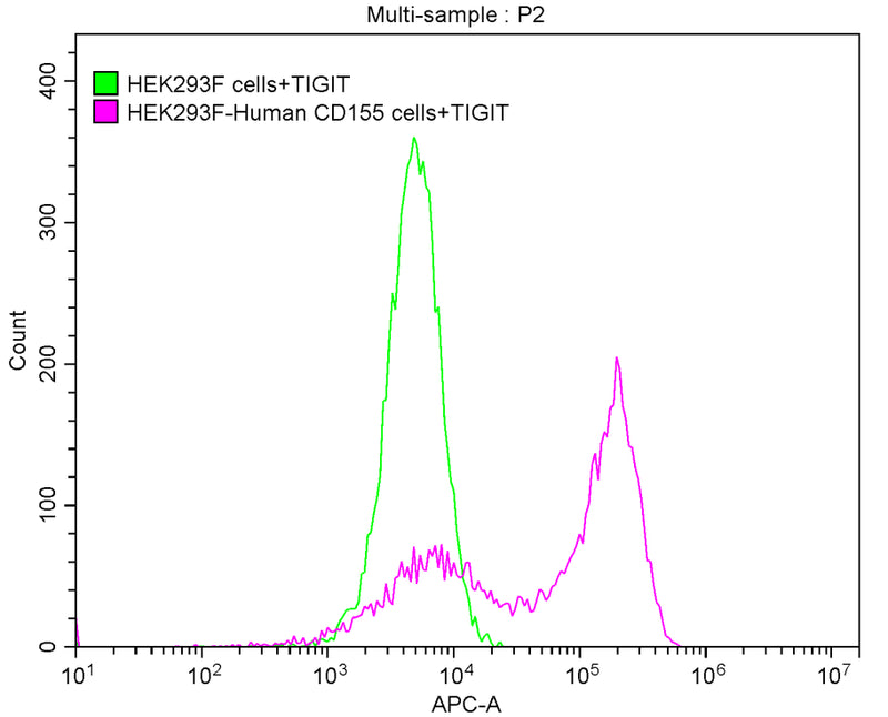 Activity FACS assay shows that Human TIGIT can bind to 293F cell overexpressing human CD155. Biological Activity Assay