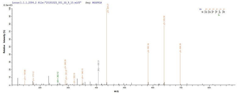 Based on the SEQUEST from database of Yeast host and target protein, the LC-MS/MS Analysis result of this product could indicate that this peptide derived from Yeast-expressed Homo sapiens (Human) FGF2.