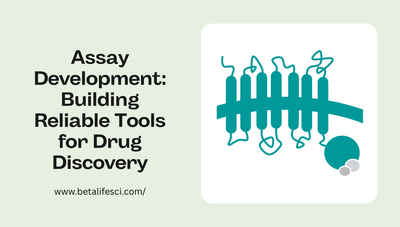 Assay Development: Building Reliable Tools for Drug Discovery