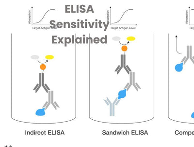 ELISA kits