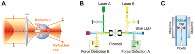 Optical Tweezers in Science, Biology & Nanotech