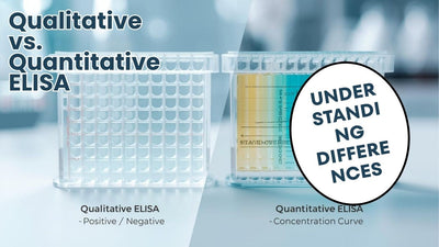 Qualitative vs Quantitative ELISA