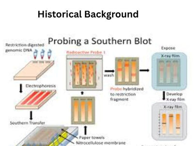 Choosing the Right Buffer