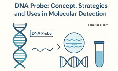 DNA Probes