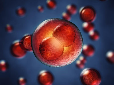Top 10 Application of Recombinant Proteins
