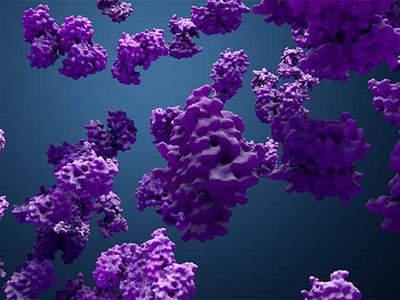 Featured Biotinylated Protein Molecules