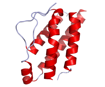 Crystal structure of IL-2 as published in the Protein Data Bank (PDB: 1M47)Recombinant Interleukin-2 (IL-2) Proteins