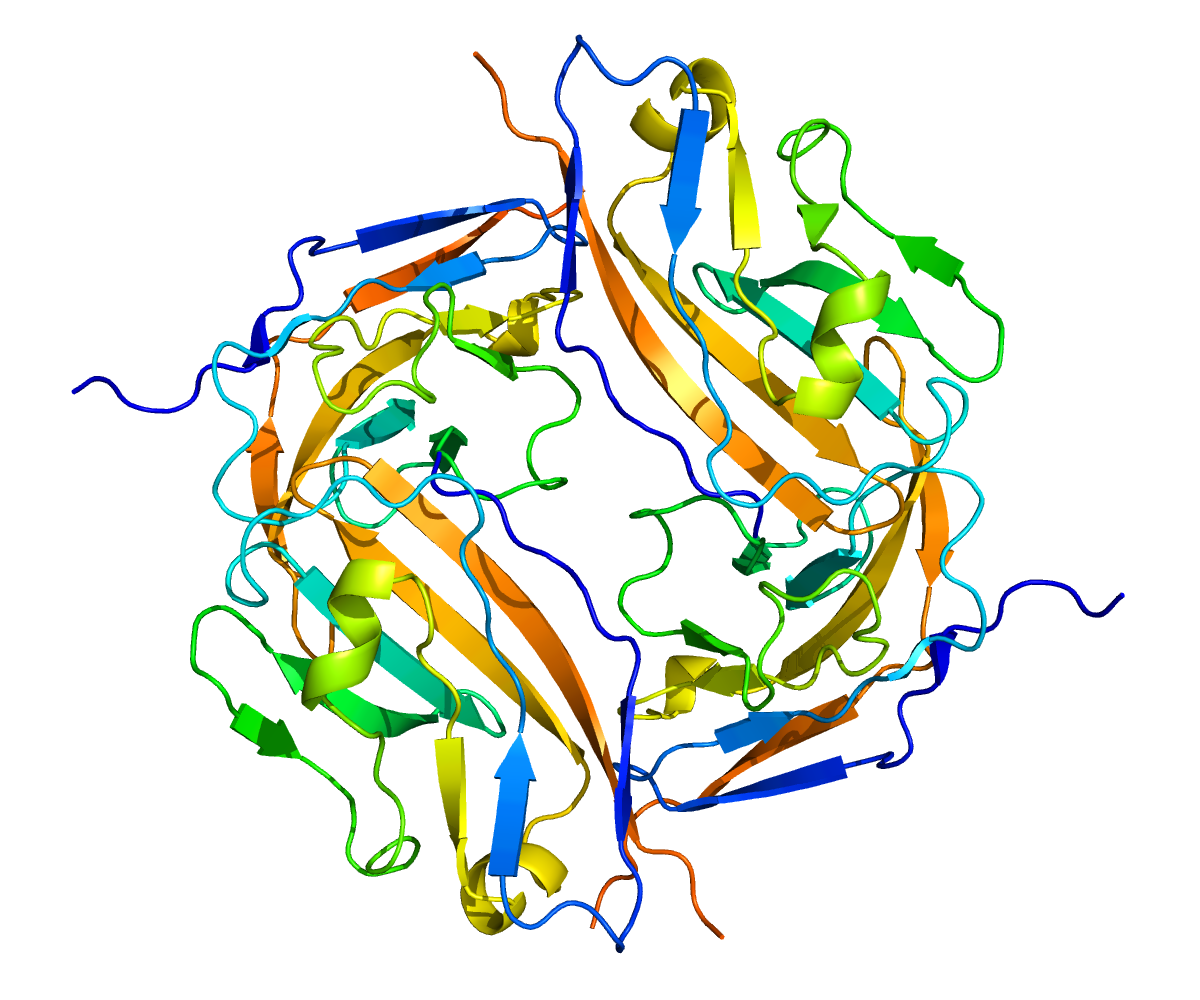 CD47 Protein Guide: Applications, Assays & Selection | Beta LifeScience