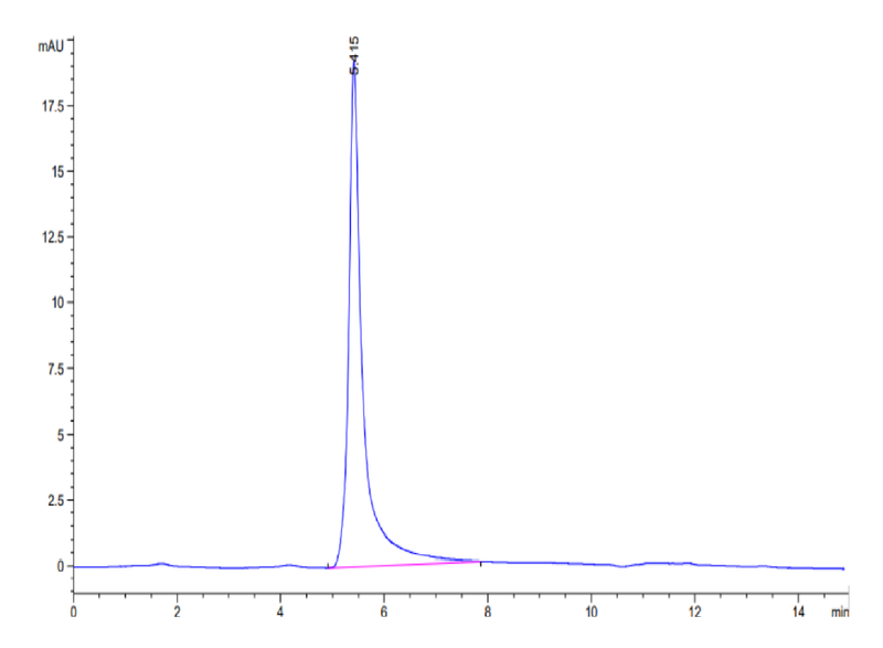 The purity of Biotinylated Human GPRC5D VLP is greater than 95% as determined by SEC-HPLC.Biotinylated Human GPRC5D Protein-VLP, Active