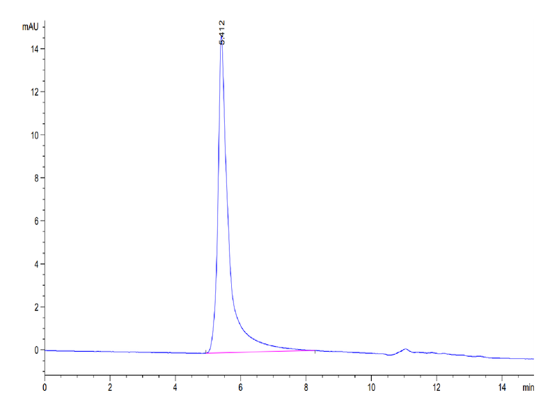 The purity of Biotinylated Human CCR2b VLP is greater than 95% as determined by SEC-HPLC.Biotinylated Human CCR2b Protein-VLP, Active