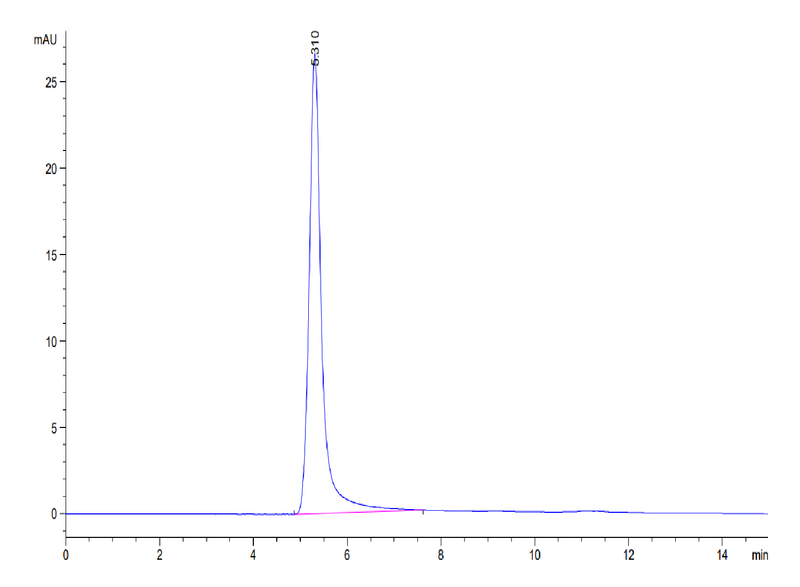 The purity of Human CCR2b VLP is greater than 95% as determined by SEC-HPLC.Recombinant Human CCR2b Protein-VLP, Active