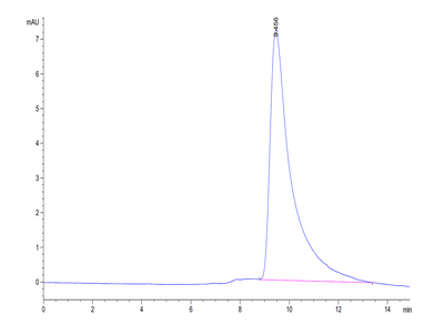 The purity of Mouse IL-2 is greater than 95% as determined by SEC-HPLC.Recombinant Mouse IL-2 Protein, Active