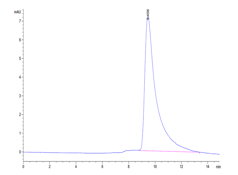 The purity of Mouse IL-2 is greater than 95% as determined by SEC-HPLC.Recombinant Mouse IL-2 Protein, Active
