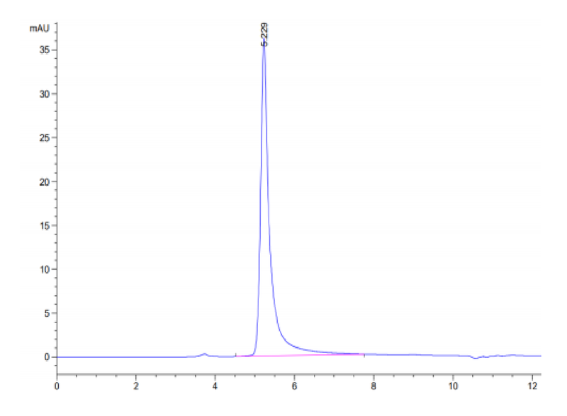 The purity of Human A2AR VLP is greater than 95% as determined by SEC-HPLC.Recombinant Human A2AR Protein-VLP, Active
