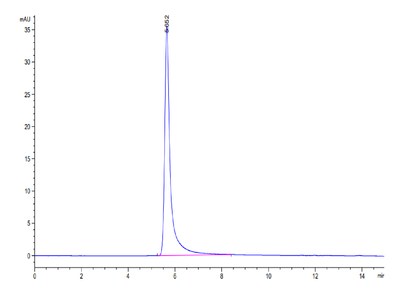 The purity of Cynomolgus GPRC5D VLP is greater than 95% as determined by SEC-HPLC.