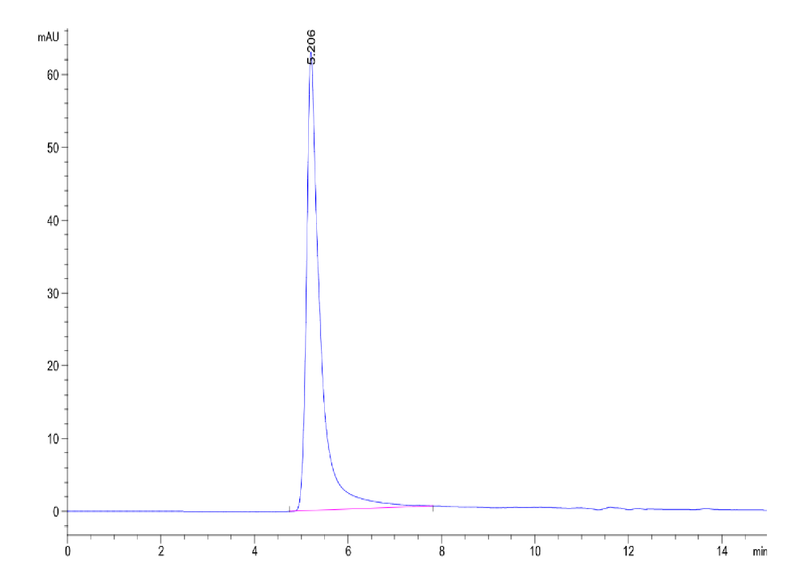 The purity of Cynomolgus Claudin 6 VLP is greater than 95% as determined by SEC-HPLC.Recombinant Cynomolgus Claudin 6 Protein-VLP, Active