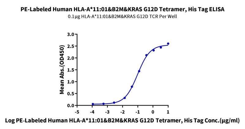 Immobilized HLA-A*11:01&B2M&KRAS G12D (VVVGADGVGK) TCR at 1ug/ml (100ul/well) on the plate. Dose response curve for PE-Labeled Human HLA-A*11:01&B2M&KRAS G12D (VVVGADGVGK) Tetramer, His Tag with the EC50 of 96.7ng/ml determined by ELISA.Recombinant PE-Labeled Human HLA-A*11:01&B2M&KRAS G12D (VVVGADGVGK) Tetramer Protein, Active
