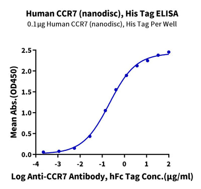 Immobilized Human CCR7 (Nanodisc), His Tag at 1ug/ml (100ul/well) on the plate. Dose response curve for Anti-CCR7 Antibody, hFc Tag with the EC50 of 0.21ug/ml determined by ELISA (QC Test).Recombinant Human CCR7 Protein-Nanodisc, Active