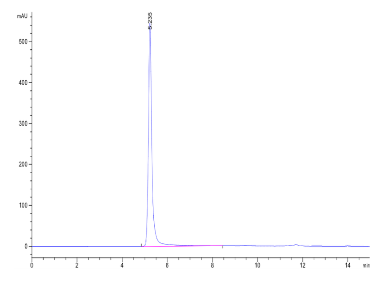 The purity of Human Cannabinoid receptor 1 VLP is greater than 95% as determined by SEC-HPLC.Recombinant Human Cannabinoid receptor 1 VLP, Active