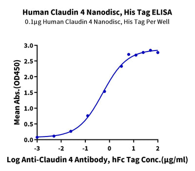 Immobilized Human Claudin 4 Nanodisc, His Tag at 1ug/ml (100ul/well) on the plate. Dose response curve for Anti-Claudin 4 Antibody, hFc Tag with the EC50 of 0.52ug/ml determined by ELISA (QC Test).Recombinant Human Claudin 4 Nanodisc, Active