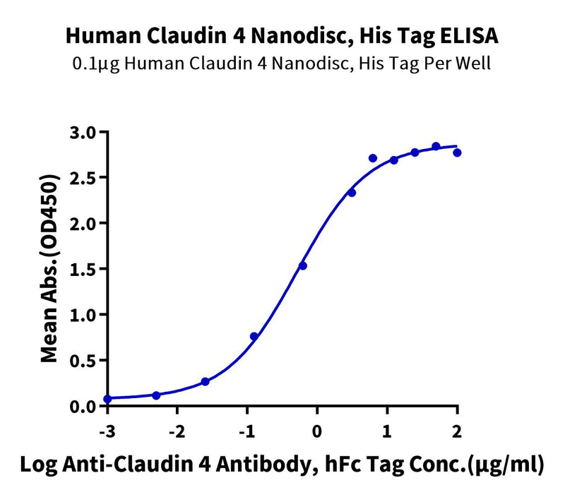 Immobilized Human Claudin 4 Nanodisc, His Tag at 1ug/ml (100ul/well) on the plate. Dose response curve for Anti-Claudin 4 Antibody, hFc Tag with the EC50 of 0.52ug/ml determined by ELISA (QC Test).Recombinant Human Claudin 4 Nanodisc, Active