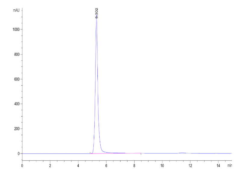 The purity of Biotinylated Human CD20 VLP is greater than 95% as determined by SEC-HPLC.Biotinylated Human CD20/MS4A1 VLP, Active