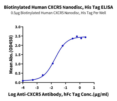 Immobilized Biotinylated Human CXCR5 Nanodisc, His Tag at 5ug/ml (100ul/well) on the streptavidin precoated plate (5ug/ml). Dose response curve for Anti-CXCR5 Antibody, hFc Tag with the EC50 of 18.1ng/ml determined by ELISA (QC Test).Biotinylated Human CXCR5 Nanodisc, Active