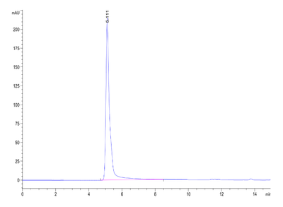 The purity of Human CXCR5 VLP is greater than 95% as determined by SEC-HPLC.Recombinant Human CXCR5 VLP, Active
